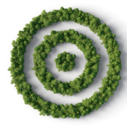 Embedding Purpose to Achieve Real SBT Results