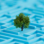 Building a Sustainability Strategy That Delivers for All