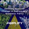Defining Systems Change in Sustainable Business: Part I