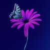 The Role of the Enterprise in a Nature Positive World, Part I 