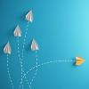 Solution architect