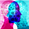 Social Intelligence & High-Performance Team Leadership