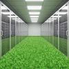 green data center
