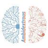 ambidextrous organization