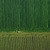 Growing More with Less: Drones in Precision Agriculture