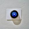 Green, Secure IoT for Enhanced Sustainability Strategies