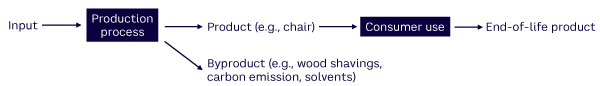 Figure 1. A linear process produces a product and byproducts