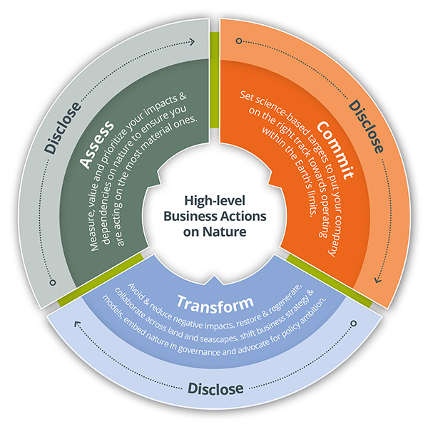 Figure 2. ACT-D framework (source: Business for Nature)