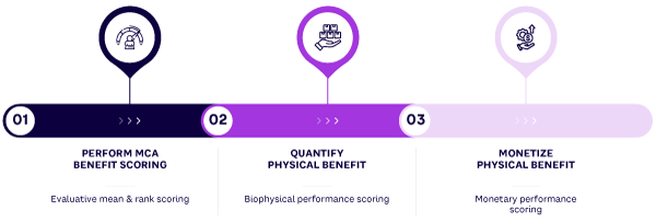 Figure 4. Process steps and outputs for benefit screening