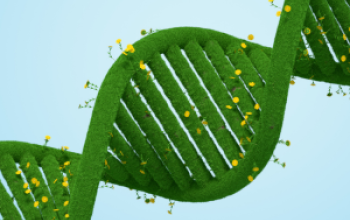 Blueprint for Greener Healthcare: A Three-Step Sustainability Strategy