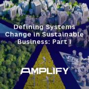 Defining Systems Change in Sustainable Business: Part I